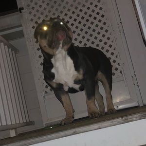 Meet your Posher, Antonio